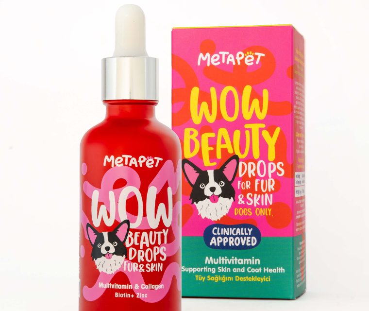 Packaging and branding design for pet product